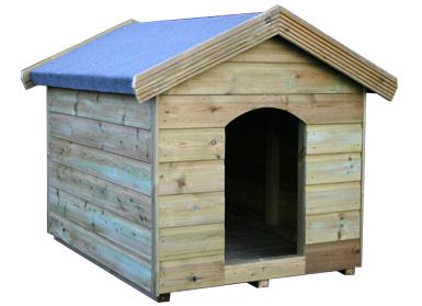 tanalised-dog-kennel-liverpool