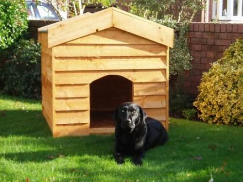 dog-kennes-liverpool